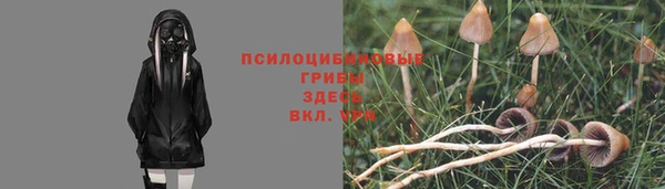ПСИЛОЦИБИНОВЫЕ ГРИБЫ Армянск