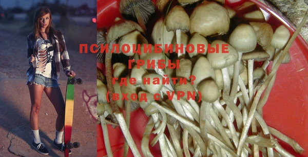 ПСИЛОЦИБИНОВЫЕ ГРИБЫ Армянск