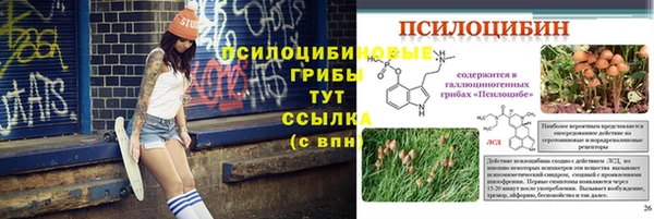 ешки Мегион