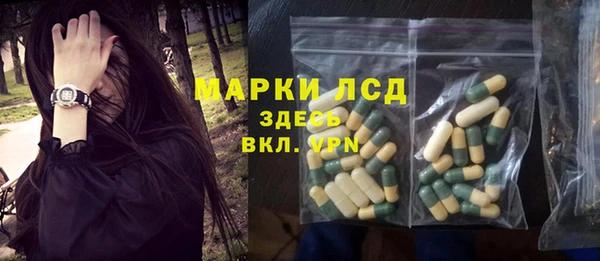 спайс Арсеньев