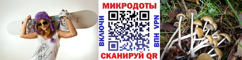 Псилоцибиновые грибы GOLDEN TEACHER  даркнет сайт  Междуреченск 